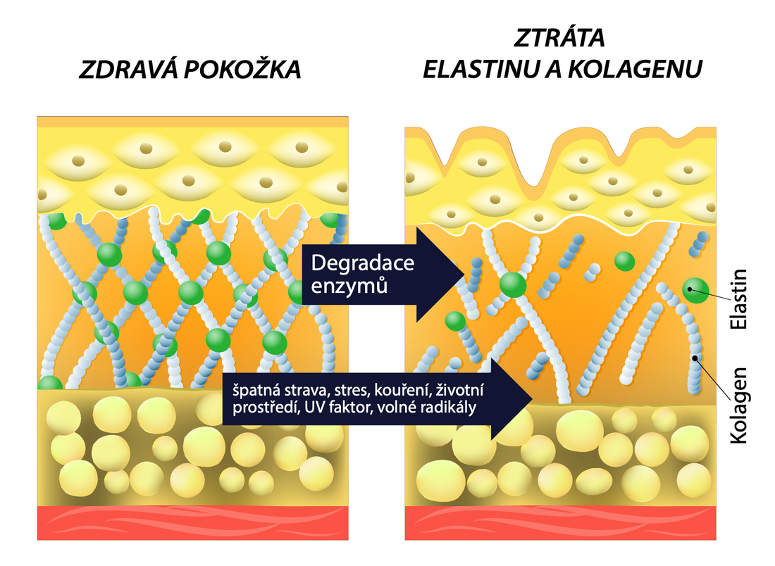 Dermaval